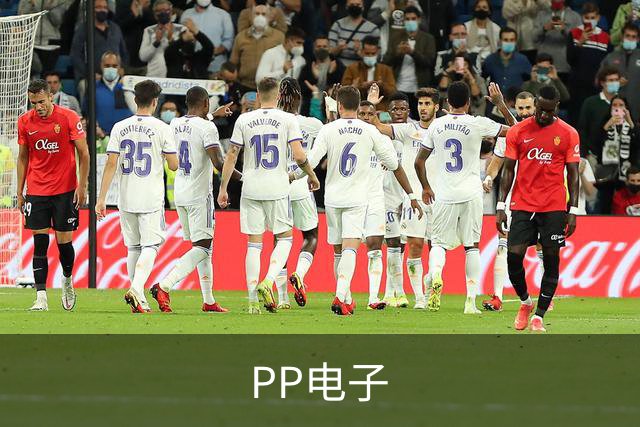 PP电子公司简介展示图